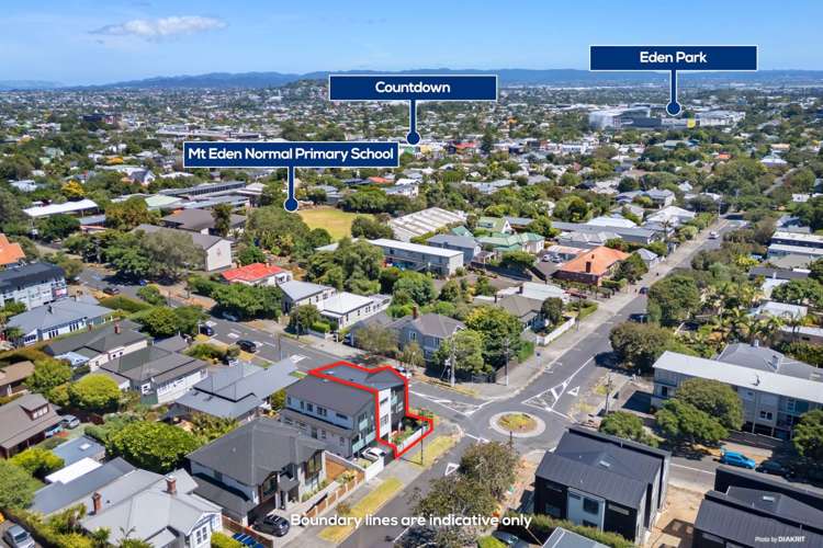 14 Sherbourne Road Mount Eden_18