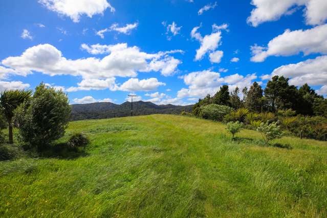 132 Swetman Road Waikino_4