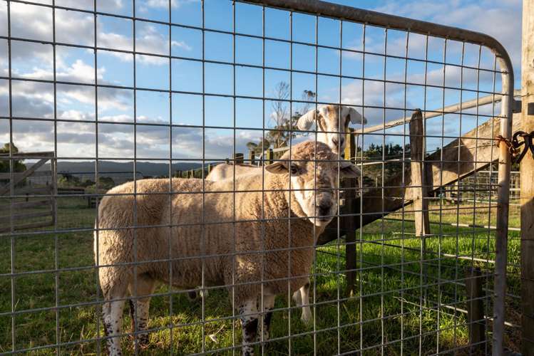 690 Ridge Road Riverhead_29