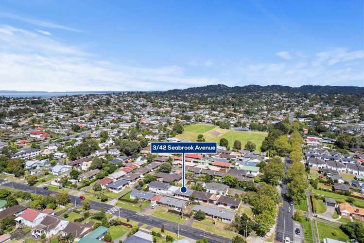 3/42 Seabrook Avenue New Lynn_16