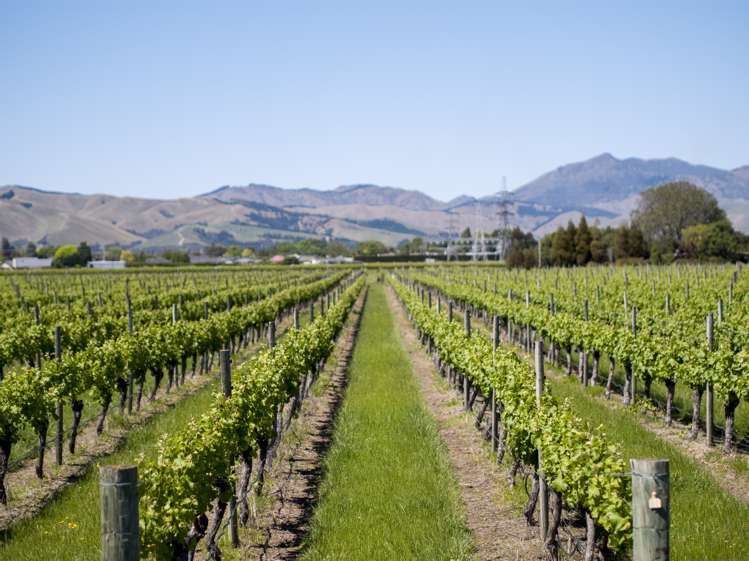 108 Thomsons Ford Road Thomsons Ford_6