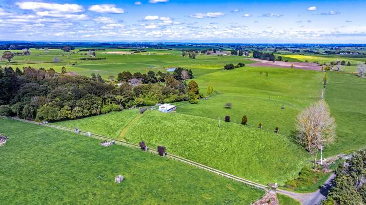 74 Galpins Road Marton_16