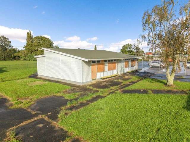 Contaminated Hamilton school for sale for $1m-plus