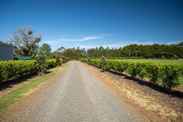 355a Waikaramu Road Kerikeri_27