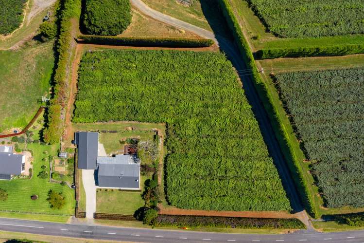 494 Paerata Ridge Road Opotiki and Surrounds_32