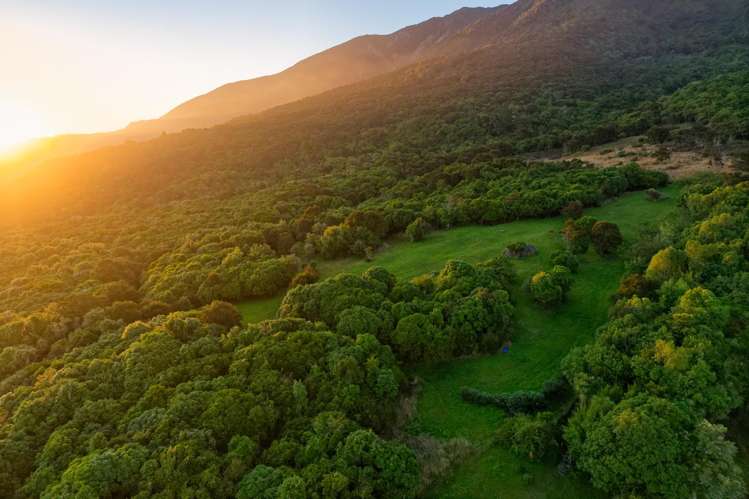 759 Mount Fyffe Road Kaikoura Flat_25