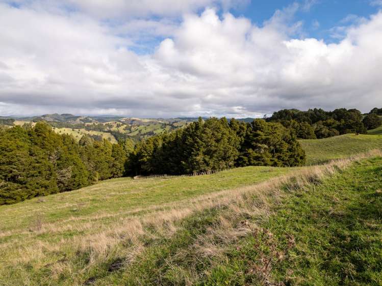 Lot 2 Horeke Road Okaihau_23