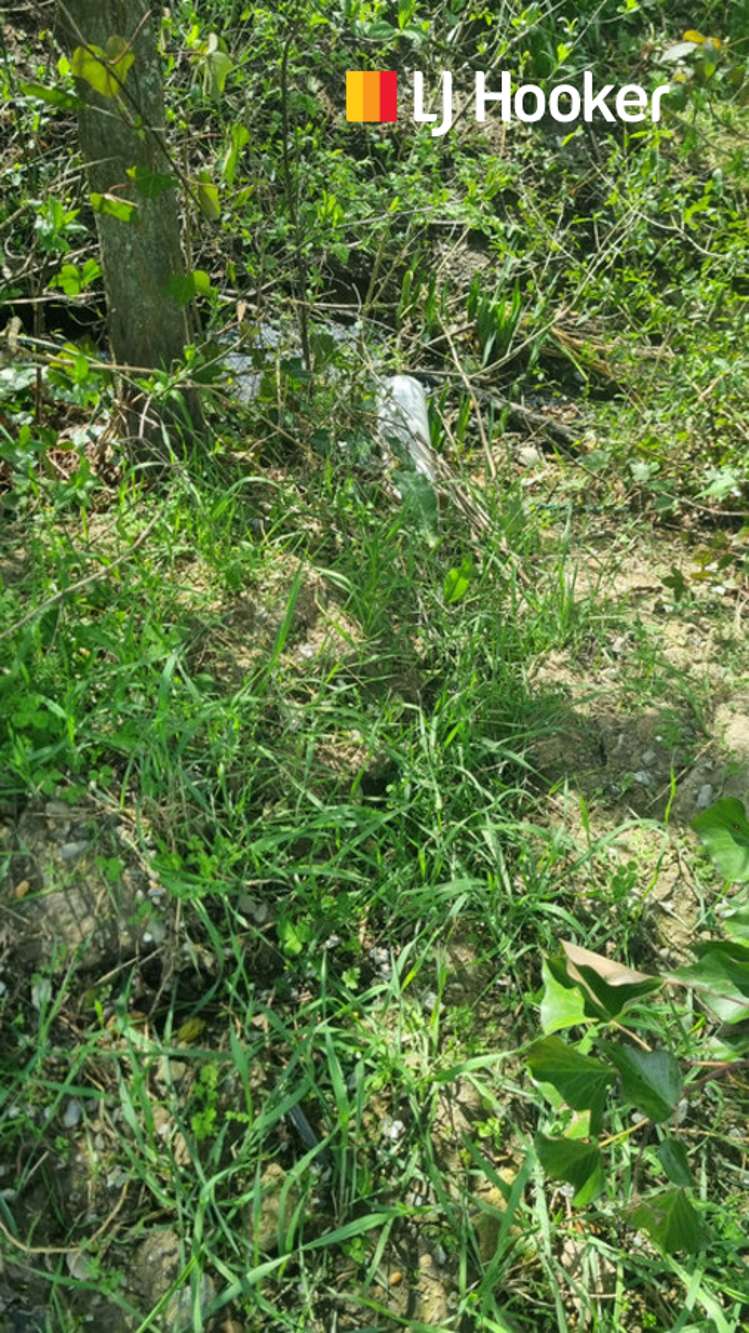 1 Start Street Palmerston_10