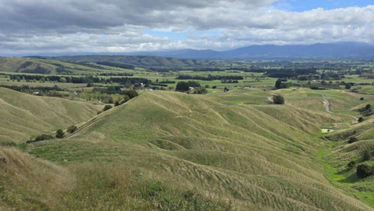 Millars Road Carterton_13