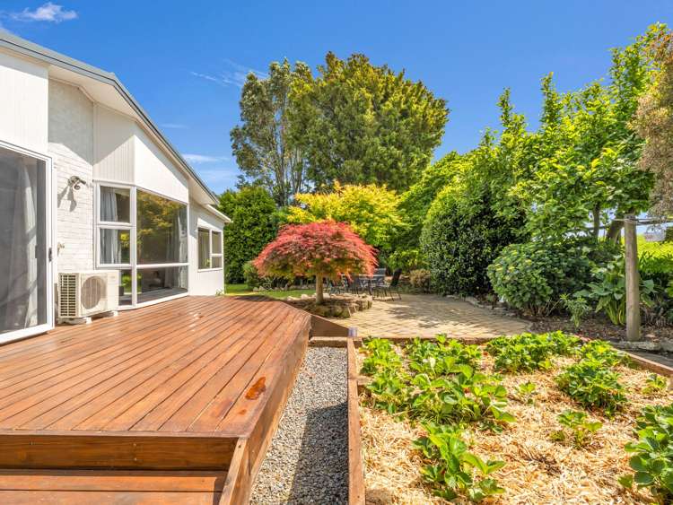 81 College Road Edgecumbe_25