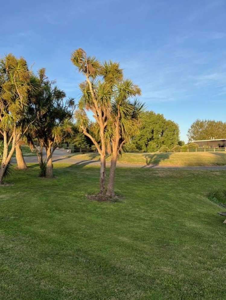 36B Palmer Road Foxton Beach_18