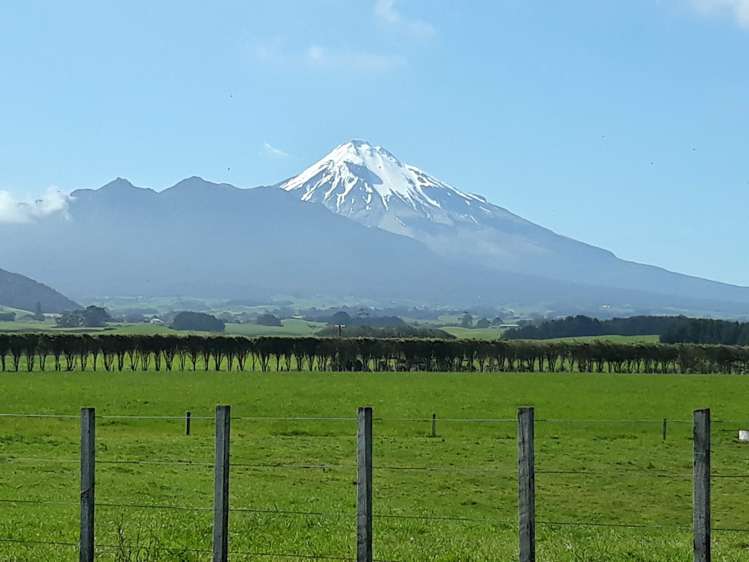 375a Lower Pitone Road Pitone_15