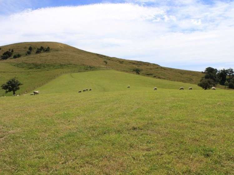 145 Adam Sutherland Road Palmerston_9