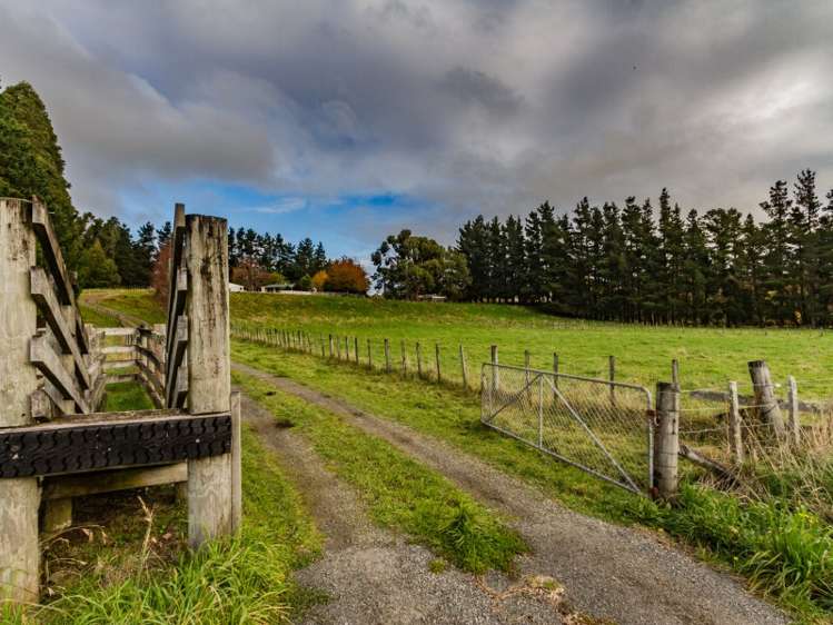 193 Mikimiki Road Mikimiki_15