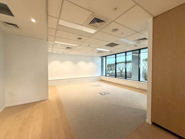 101 Carlton Gore Road Newmarket_4