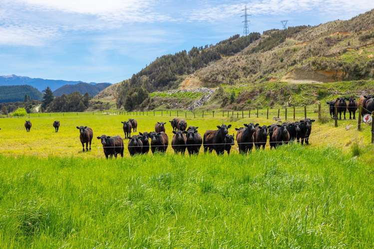 115 Howard Valley Road St Arnaud_4