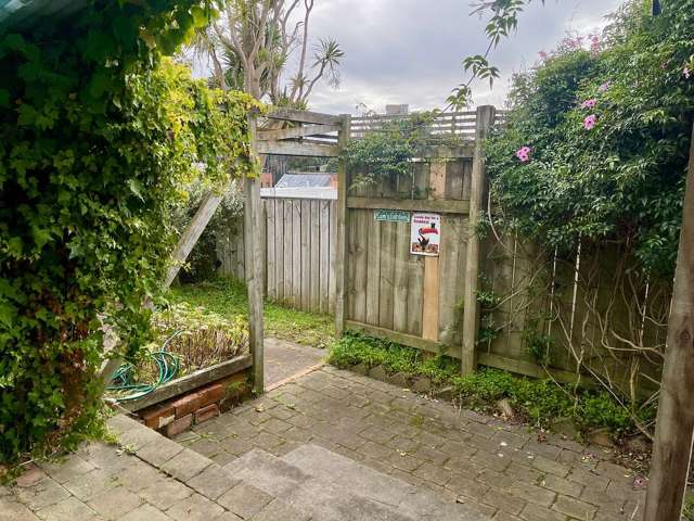 234 Adelaide Road Newtown_2