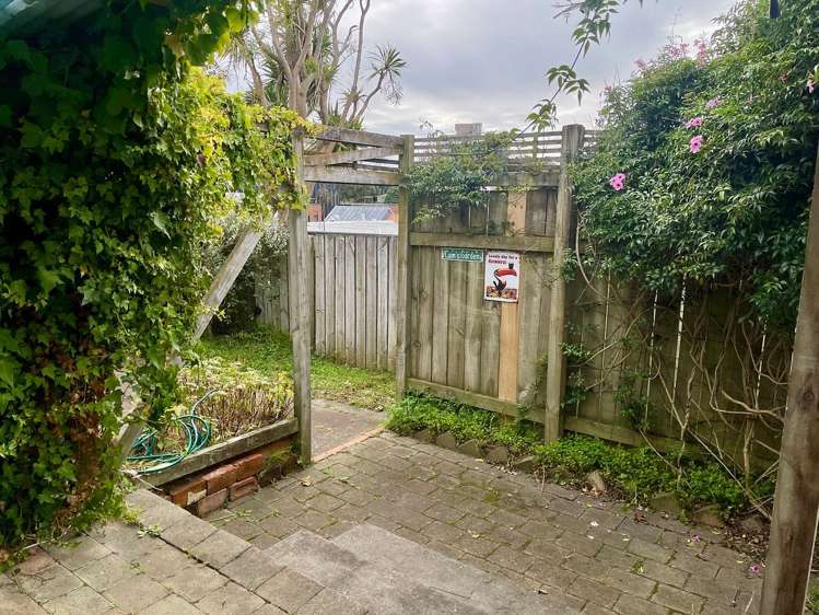 234 Adelaide Road Newtown_2