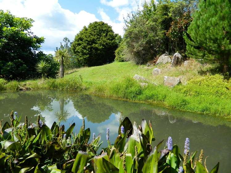 205a Onekura Road Kerikeri Surrounds_25