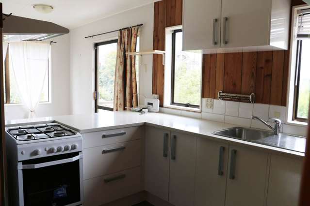 1/3 Lewis Street Blockhouse Bay_4