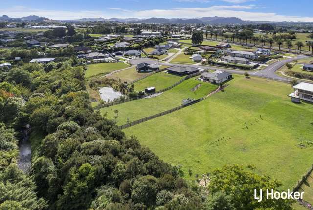 8 Blueberry Lane Waihi_4