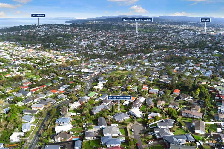37A Ted William Street_5