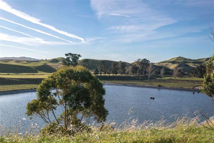 5468 State Highway 1 Seddon_9