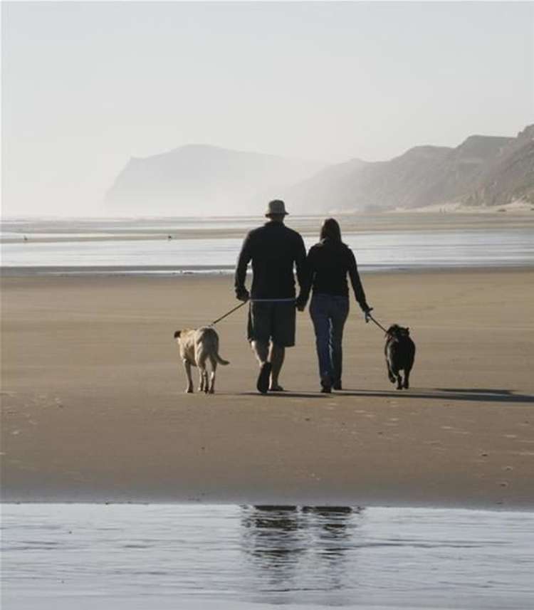 Sunset Drive Dargaville Surrounds_5