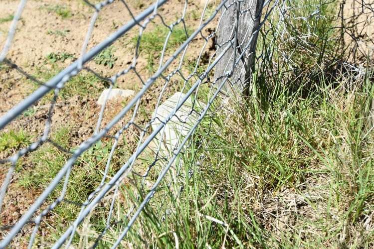 5 Harris Place Twizel_16