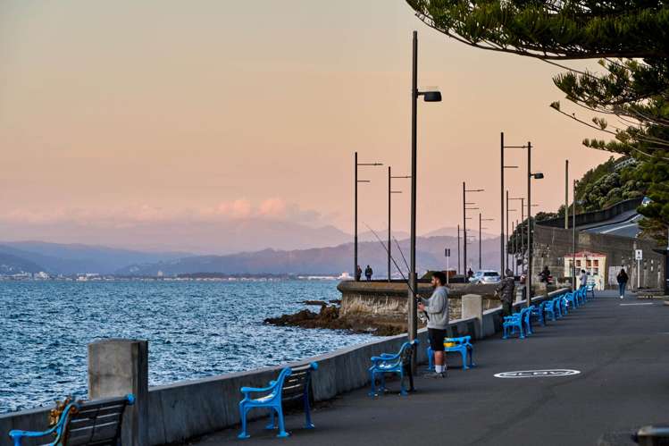 340 Oriental Parade Oriental Bay_32