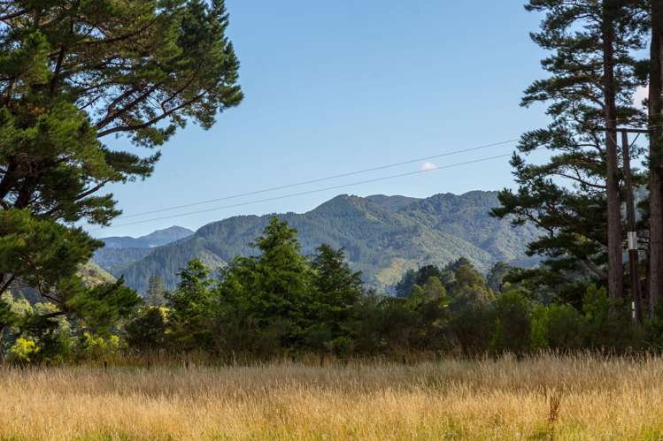 Lot 2 & 3/261 Waiohine Valley Road Greytown_6