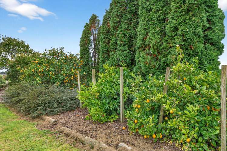 145 Masterton Castlepoint Road Masterton_18