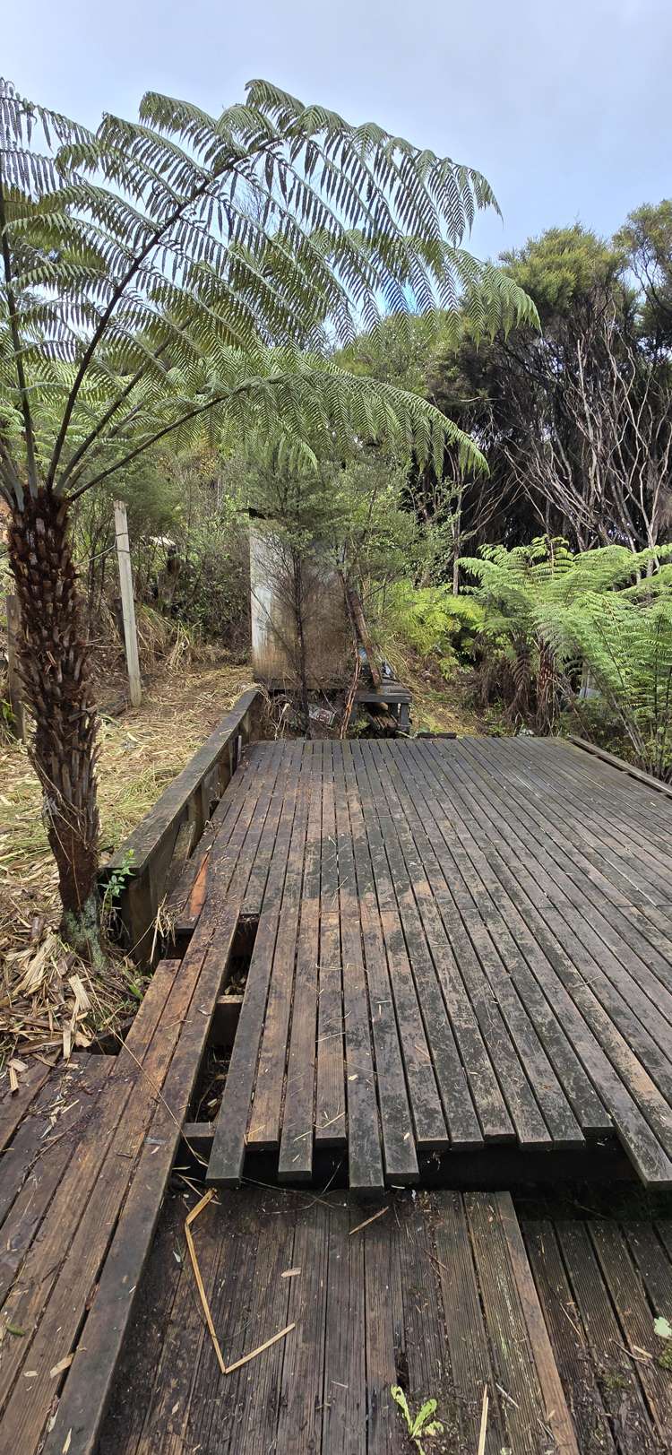 41a Blackwell Drive Great Barrier Island (Aotea Island)_17