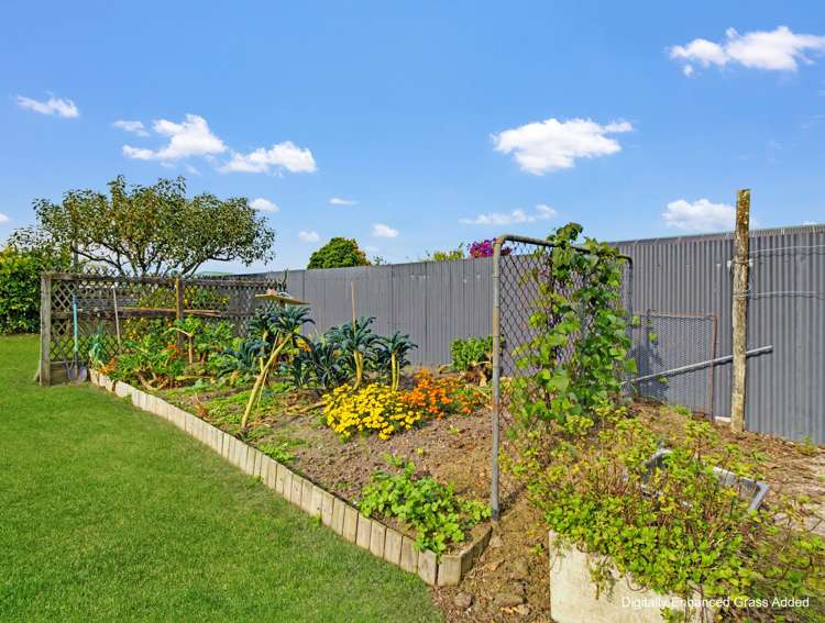 60 King Street Opotiki_24