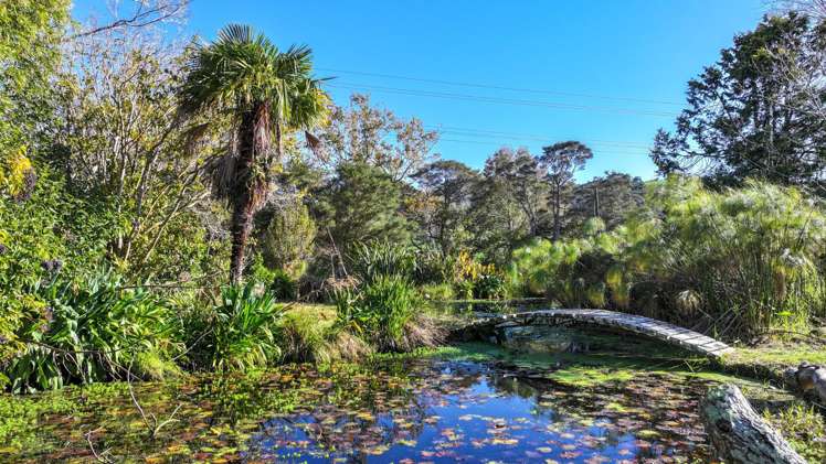 102 Puriri Valley Rd Puriri_13