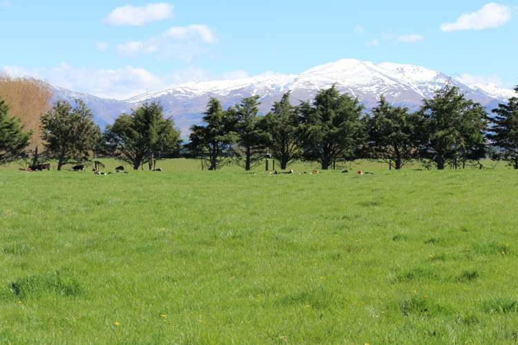 40 Clayton Road Fairlie_6