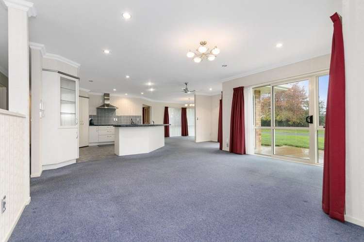 297 Bellevue Road Matangi_9