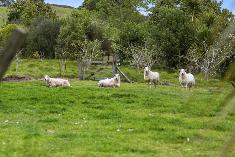 40 Walden Lane Te Puna_33