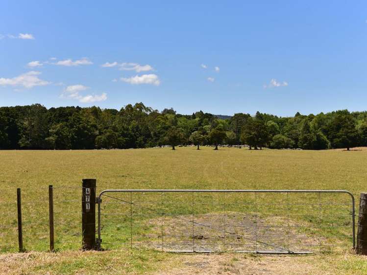 471 Crane Road Kauri_3