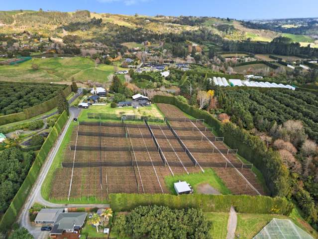 11 Gill Lane Te Puna_2