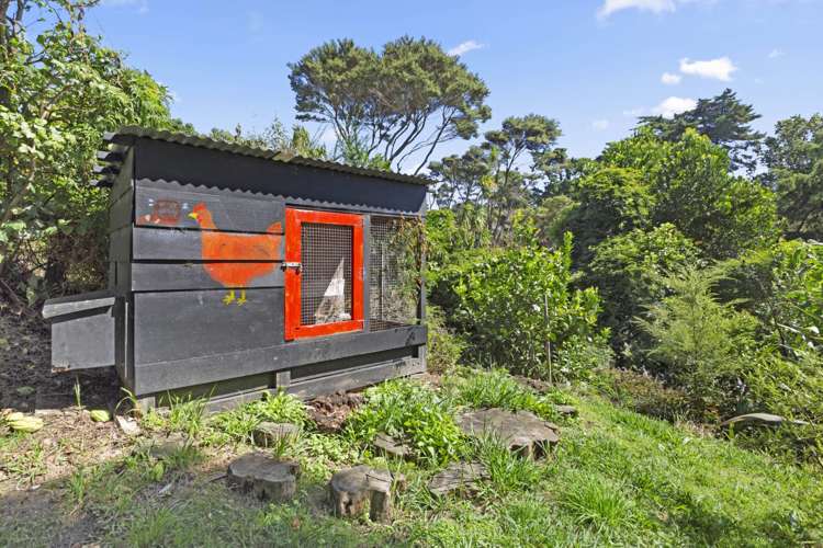 26 Lily Street Raglan_15