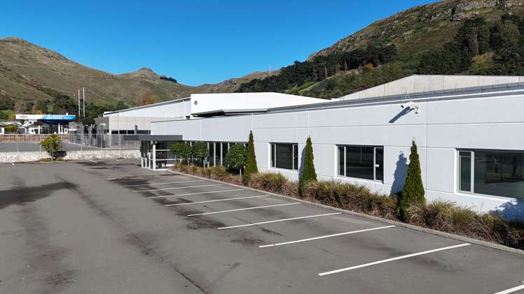 12 Lock Crescent Hillsborough_8