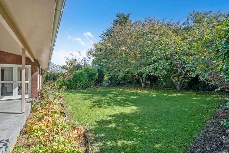 13 Mole Street Greytown_27