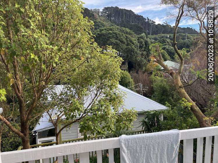 154 Hanson Street Newtown_4