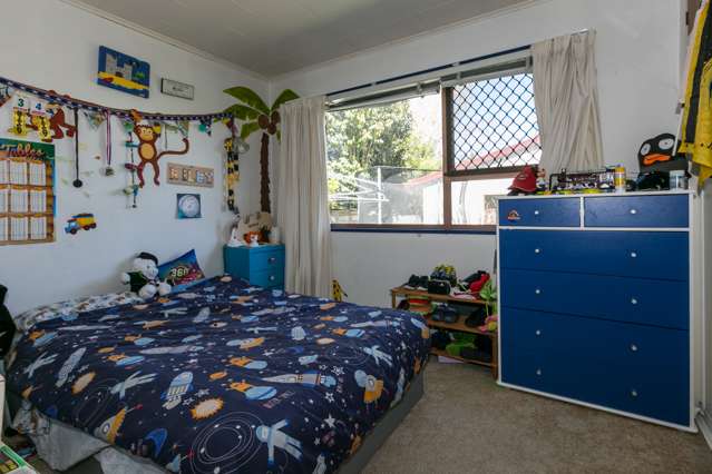 20a Douglas Mclean Avenue Marewa_4