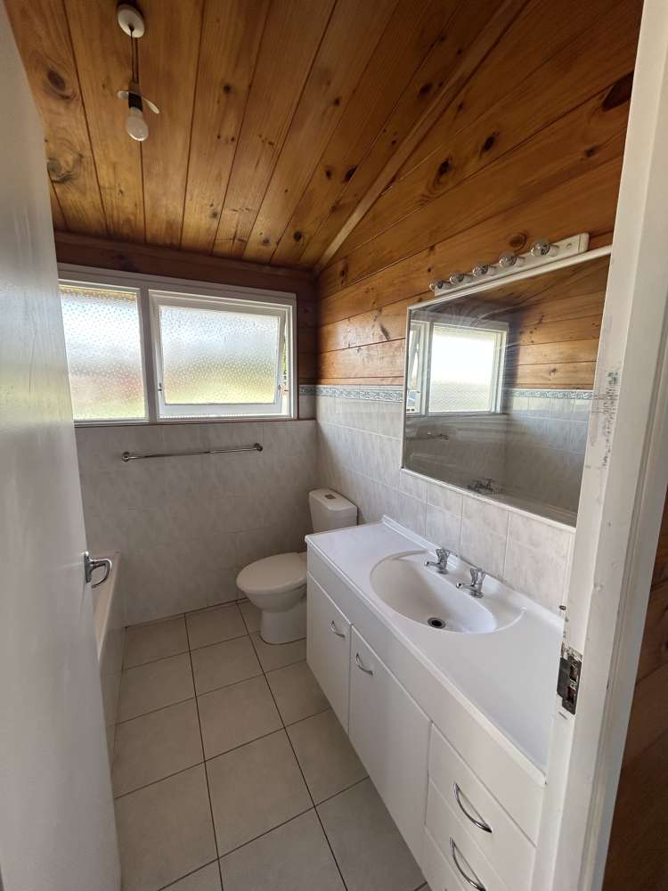 236 West Parkdale Street Tokoroa_15