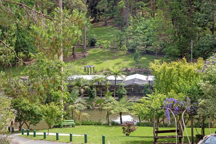 3 Orchis Drive Tamborine Mountain_29