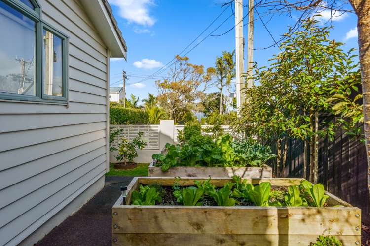 1/10 Ringwood Street Torbay_27