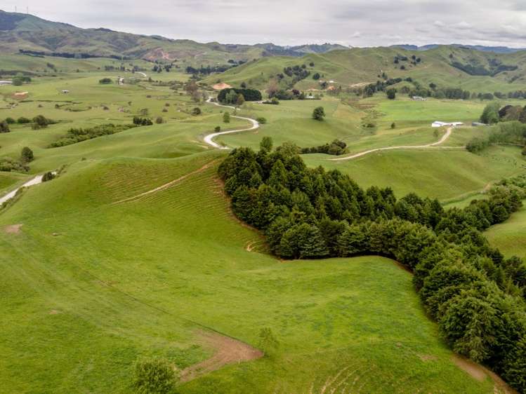 821 Waitetuna Valley Road Raglan_13