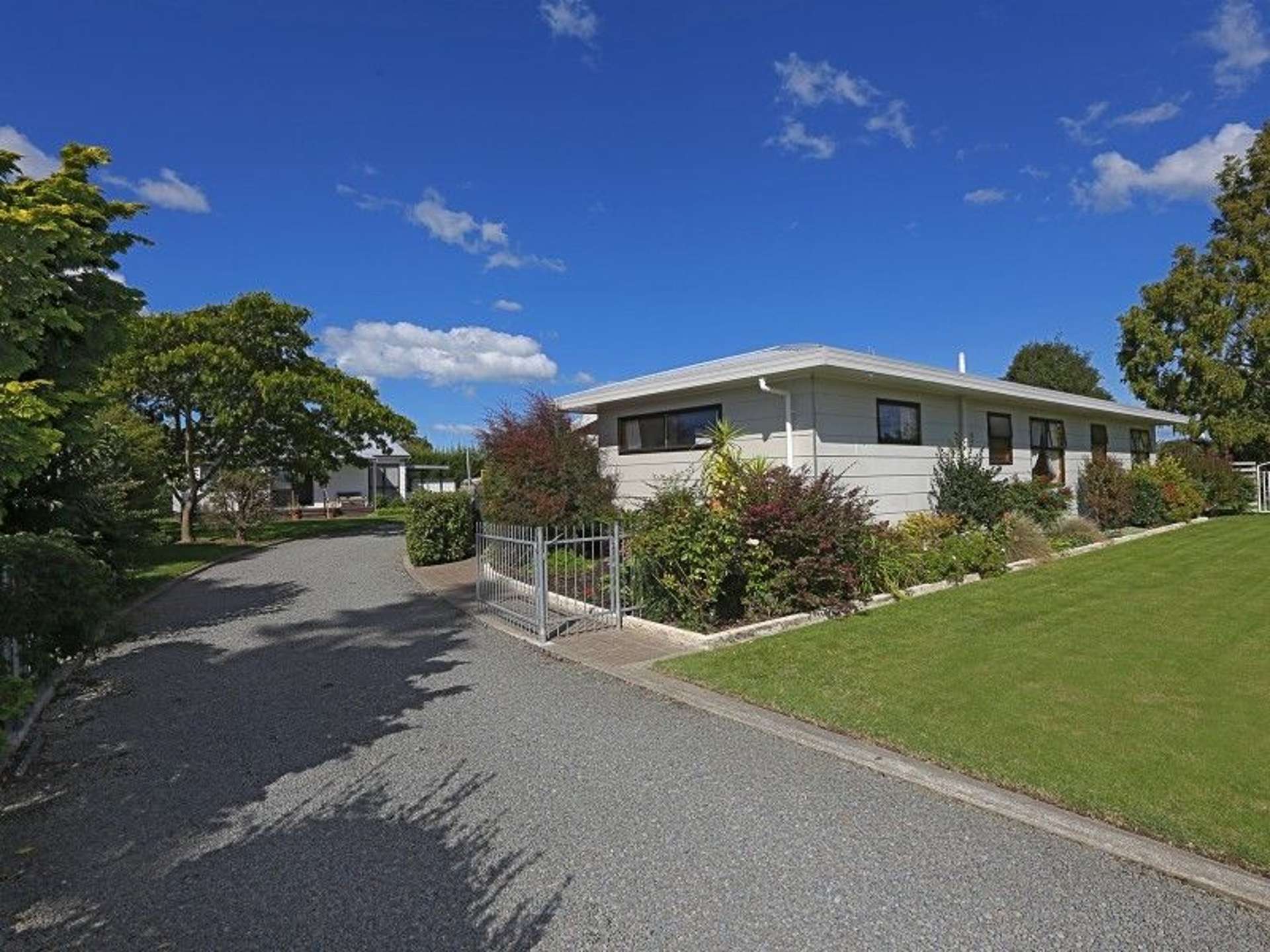 52 Napier Street Jervoistown Napier City Houses for Sale One Roof